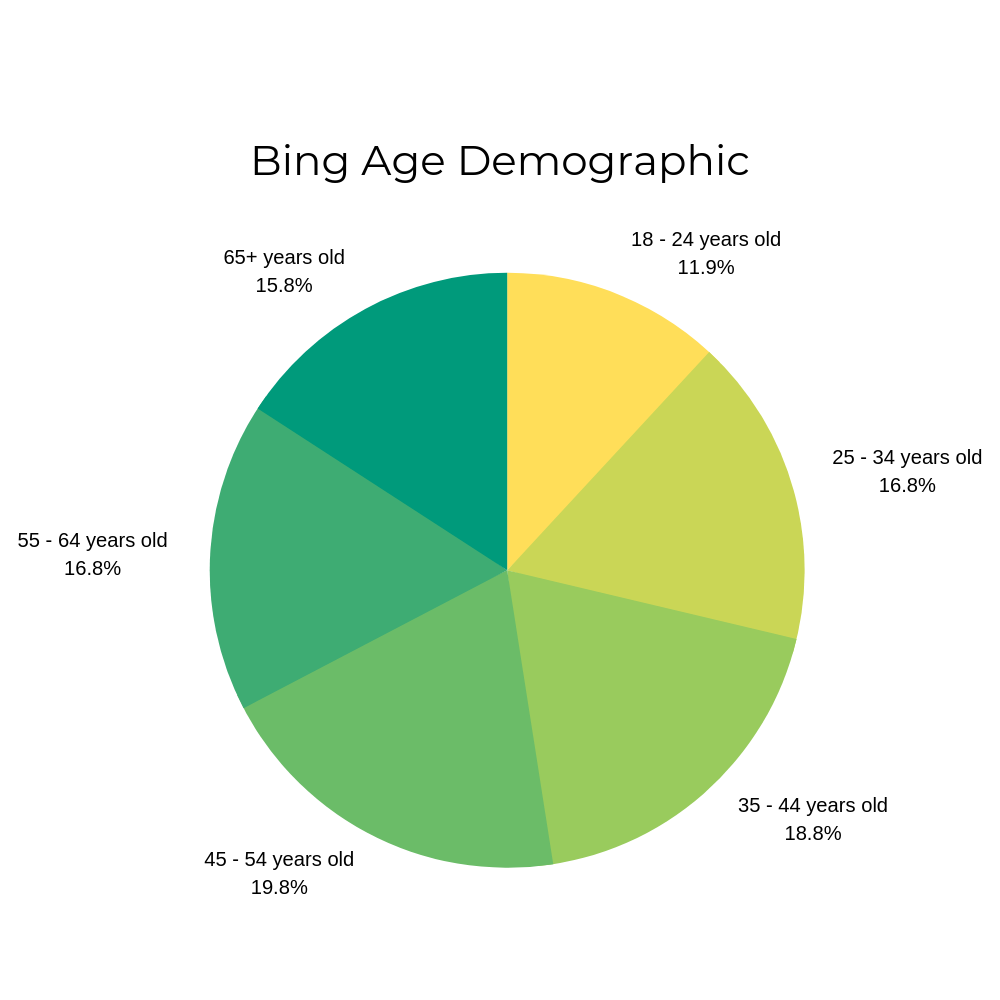 Bing Age Demographic